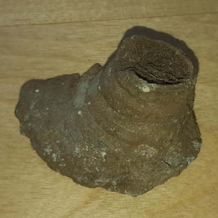 More-Civil-War-Era-Bullets-Found